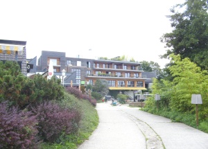 BILD7419